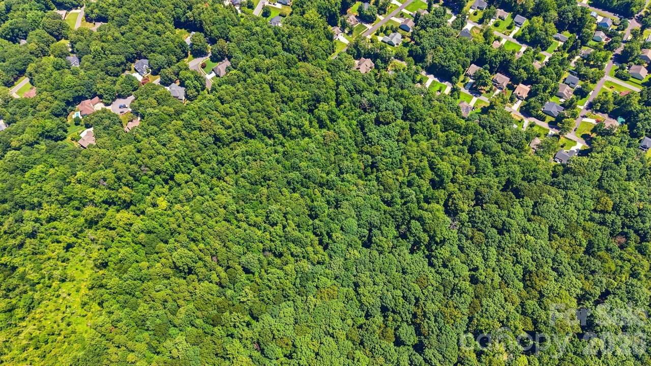 5841 Pamela Street - Photo 1