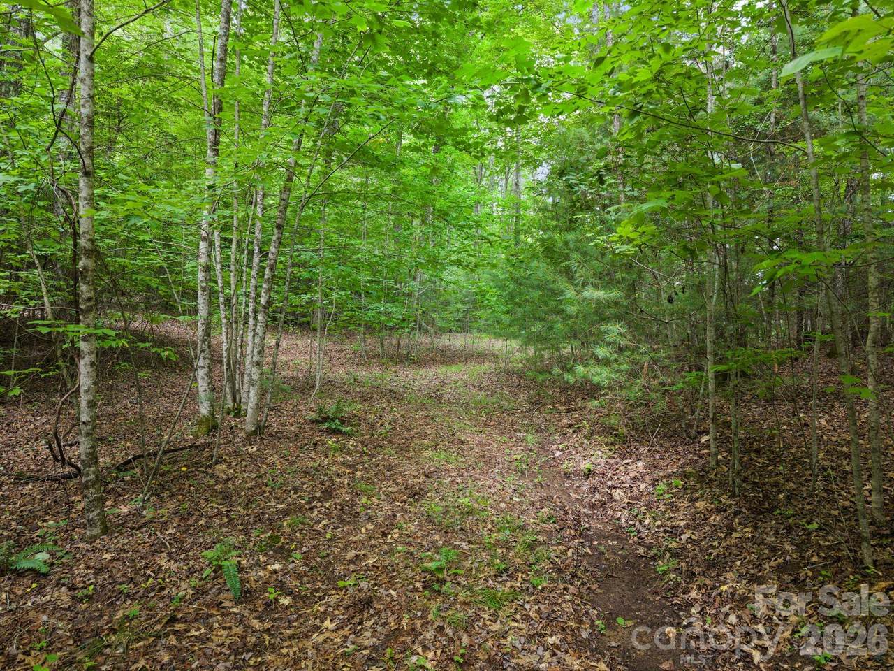 https://bt-photos.global.ssl.fastly.net/cmls/1280_boomver_1_4405182-1.jpg