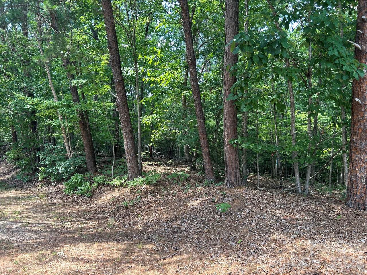 111 Peach Drive - Photo 1