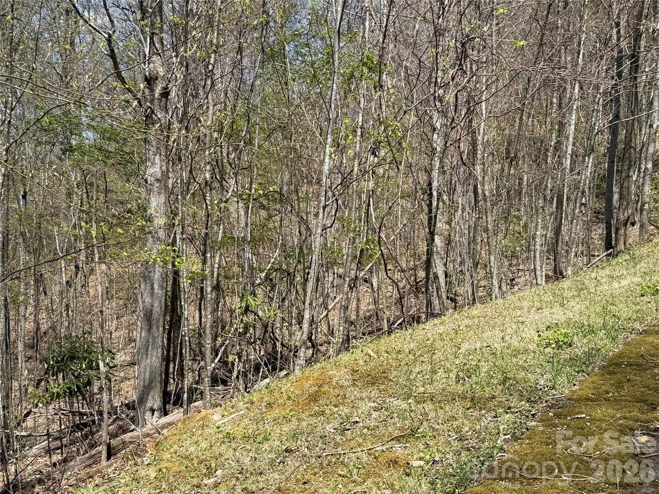 https://bt-photos.global.ssl.fastly.net/cmls/1280_boomver_1_4405595-1.jpg