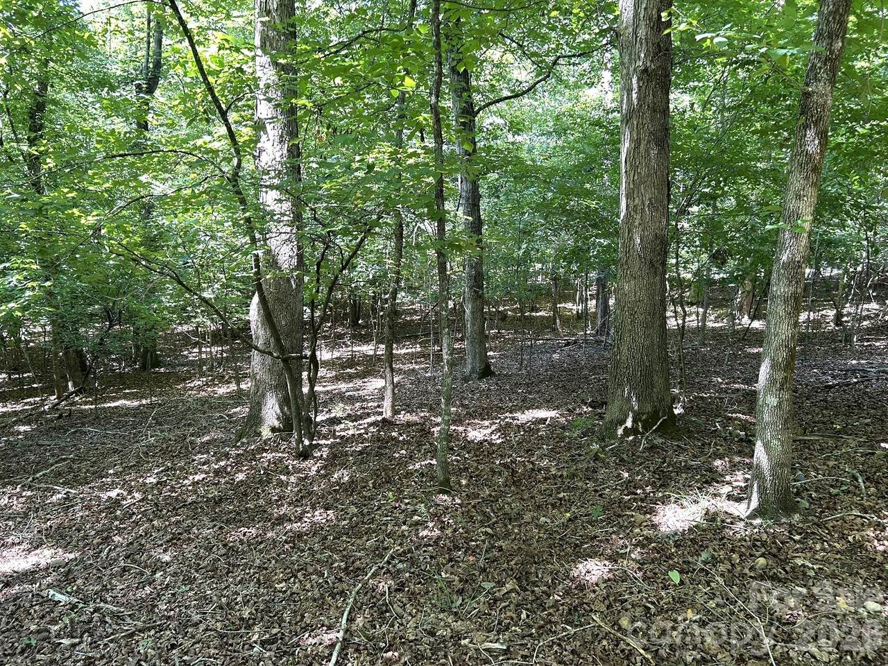 https://bt-photos.global.ssl.fastly.net/cmls/1280_boomver_1_4405779-1.jpg