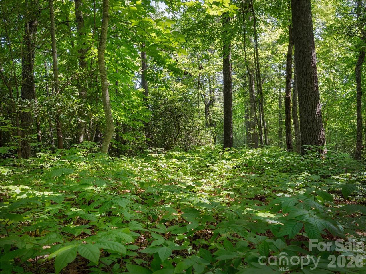 Lot 161 Eagle Lake Drive - Photo 1