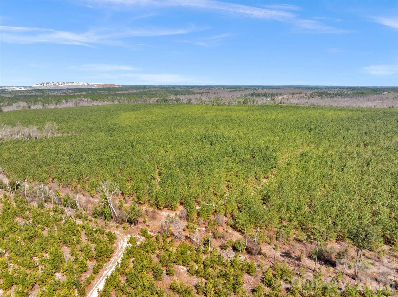 931 Charlie Johnson Road - Photo 1
