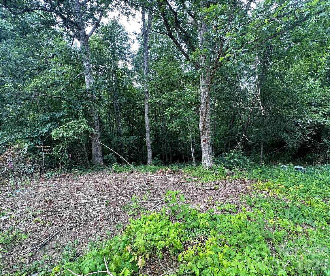 4430 Ben Lane - Photo 1