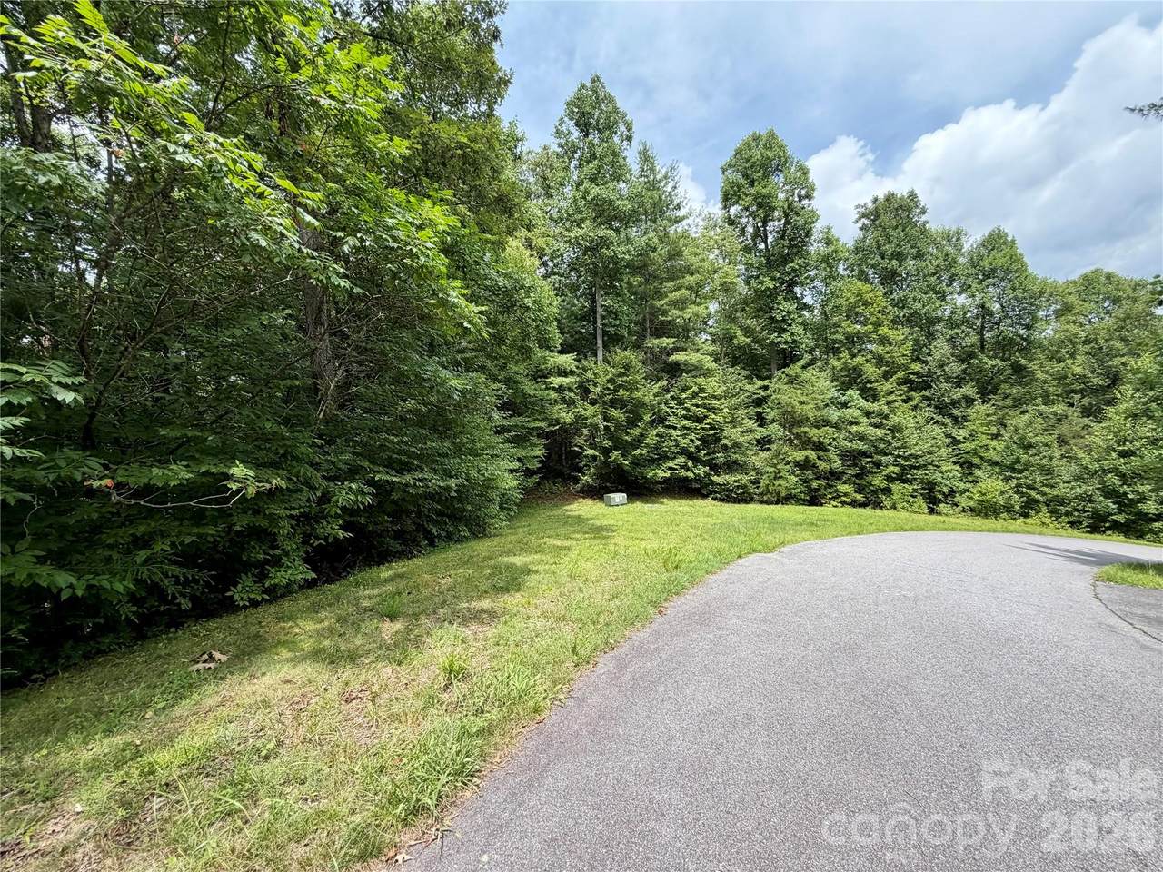 1156 Bear River Lodge Trail - Photo 1