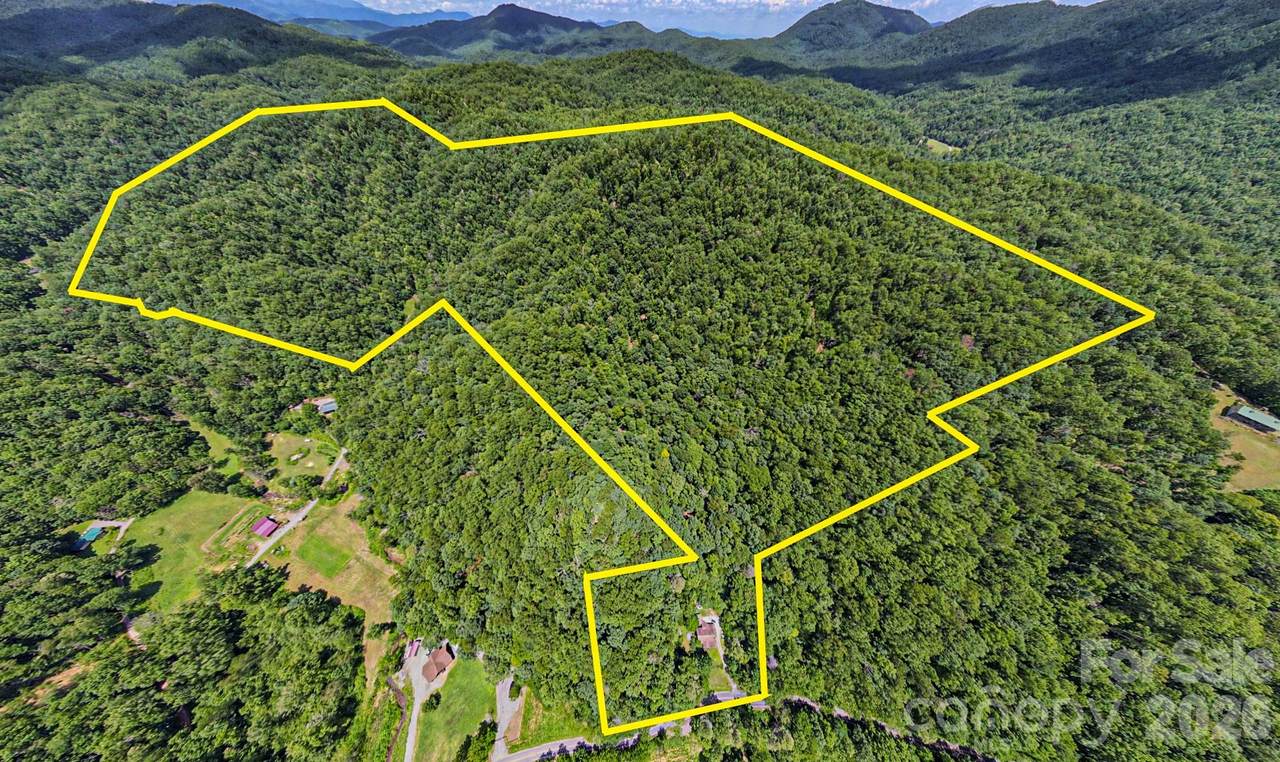 35 Lower Sand Branch Road - Photo 1