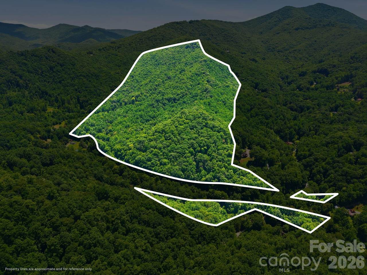 1158 Dark Ridge Road - Photo 1