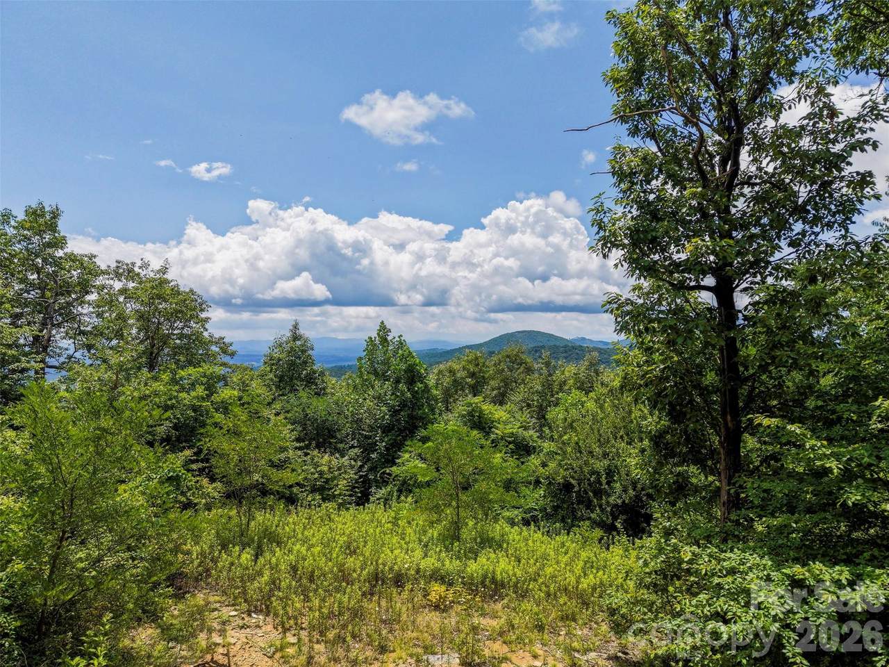 705 Pine Ridge Road - Photo 1