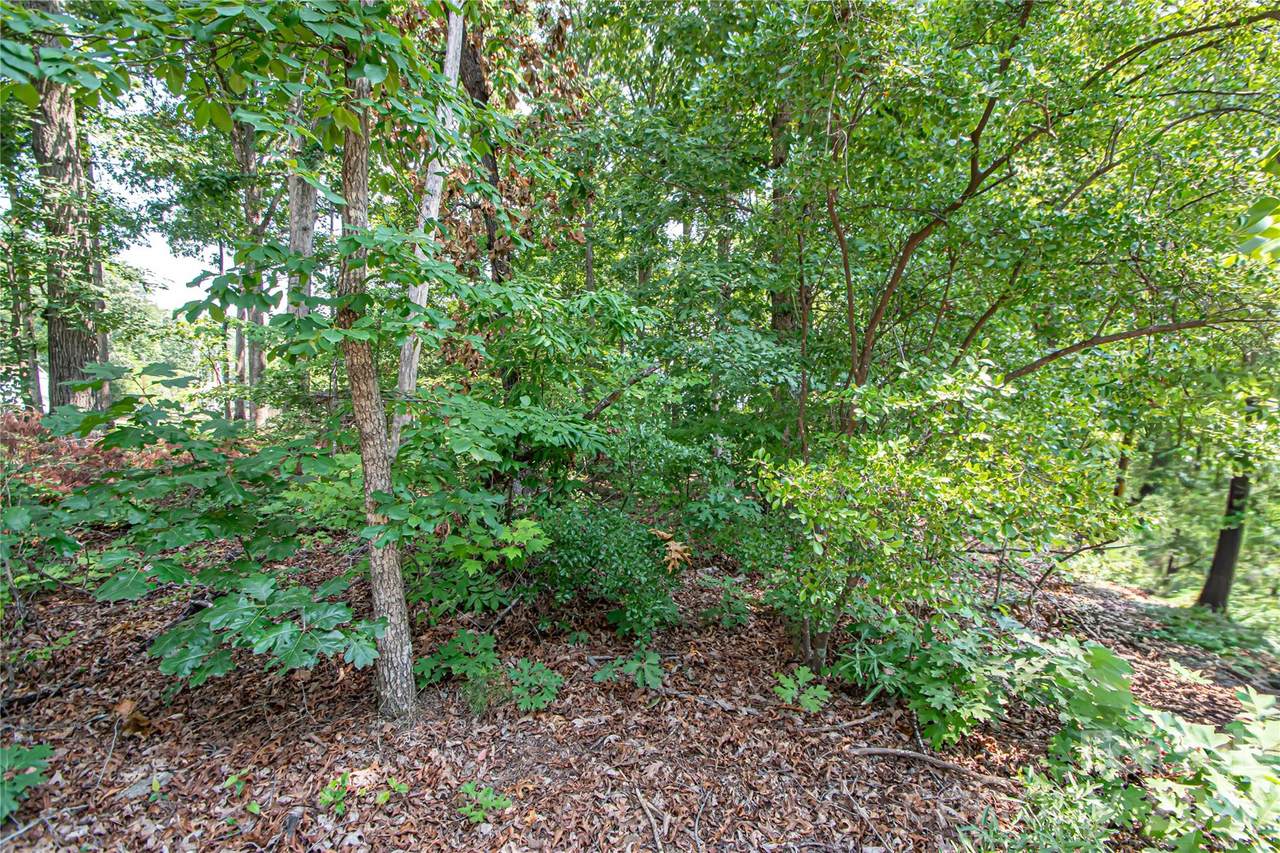 https://bt-photos.global.ssl.fastly.net/cmls/1280_boomver_1_4407865-1.jpg