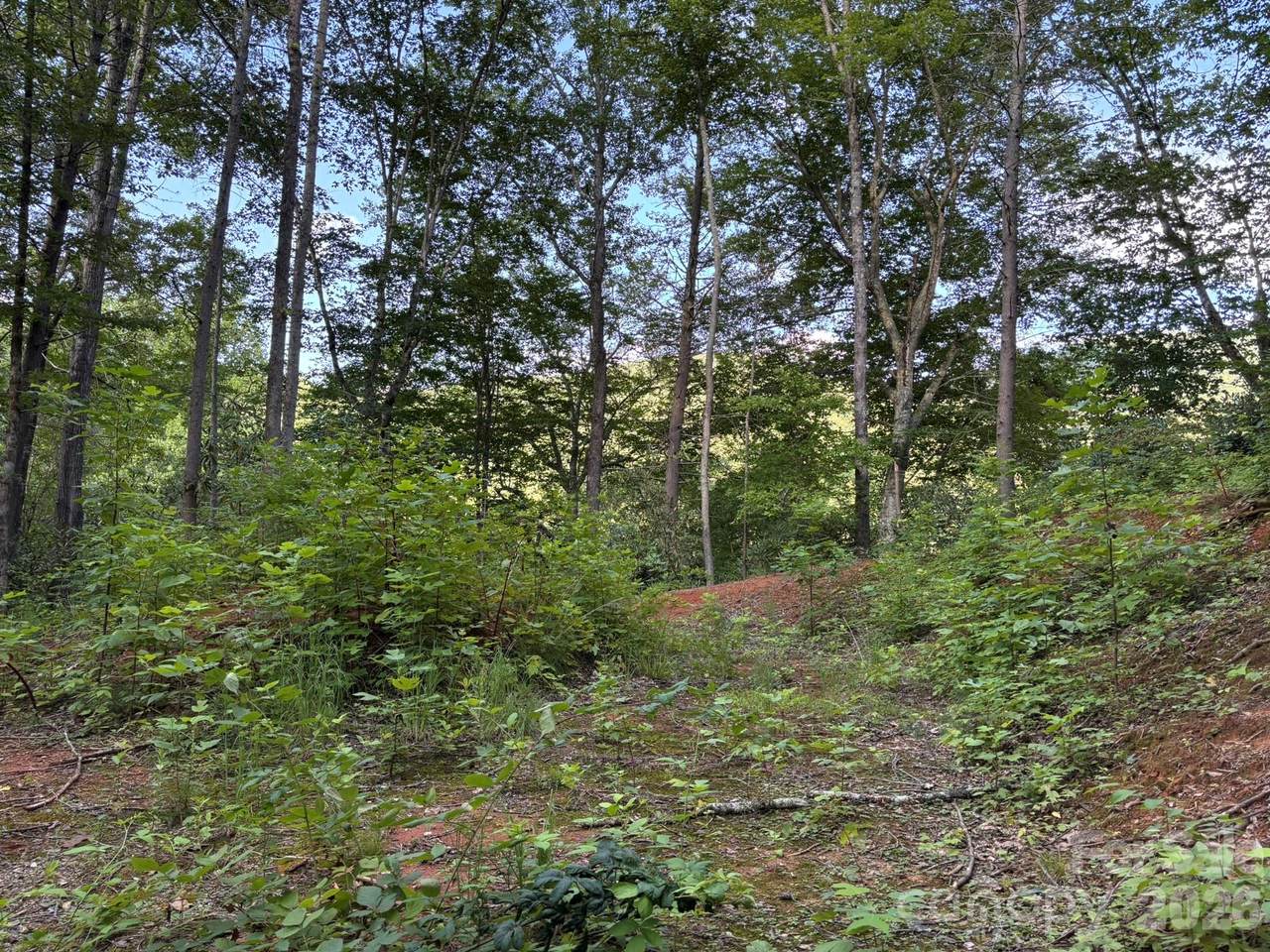 https://bt-photos.global.ssl.fastly.net/cmls/1280_boomver_1_4408015-1.jpg