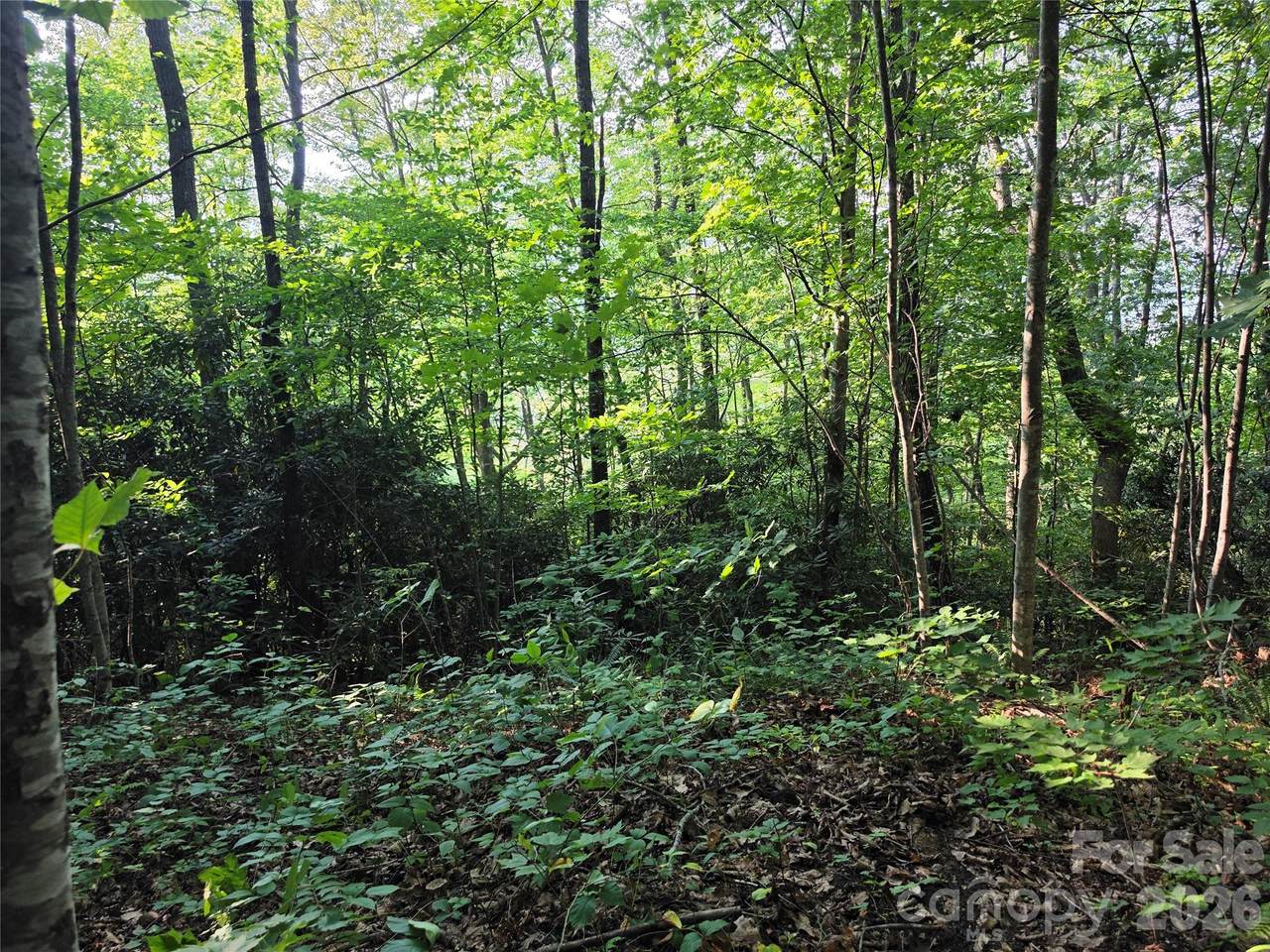https://bt-photos.global.ssl.fastly.net/cmls/1280_boomver_1_4408463-1.jpg