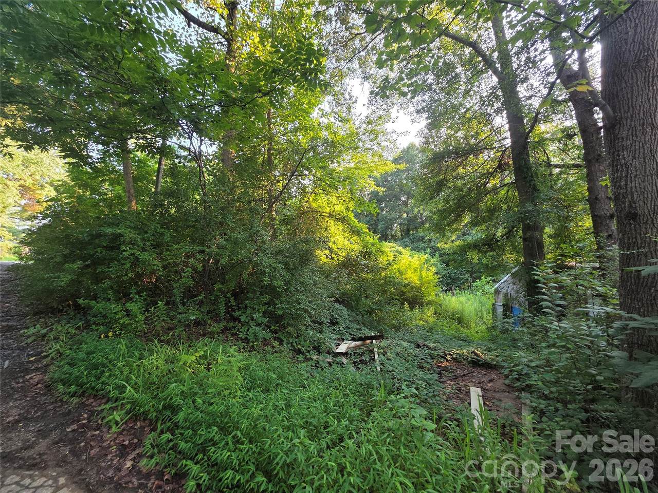 0 N Poplar Street - Photo 1