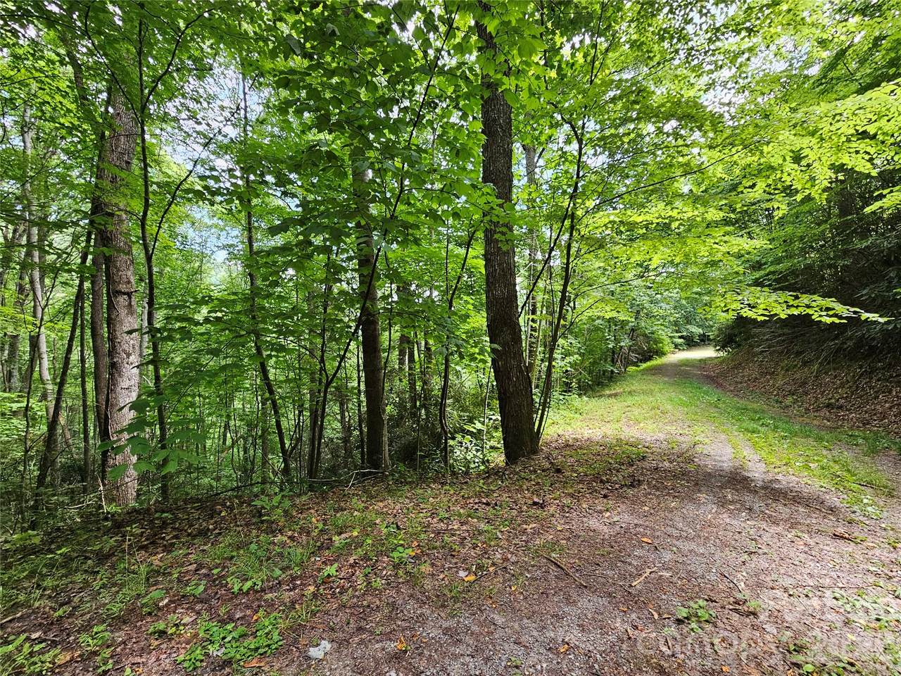 00 Autumn Drive - Photo 1
