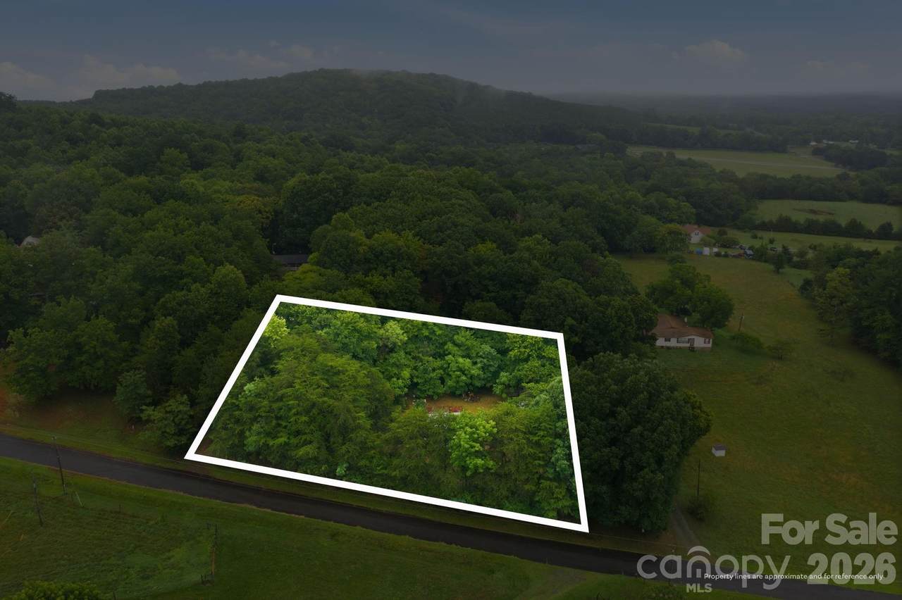 154 Beagle Lane - Photo 1