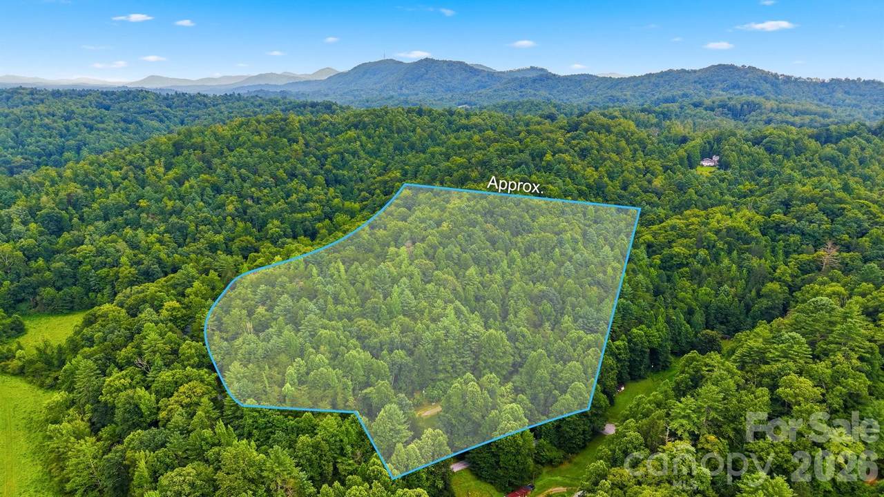 3131 Shallow Creek Road - Photo 1