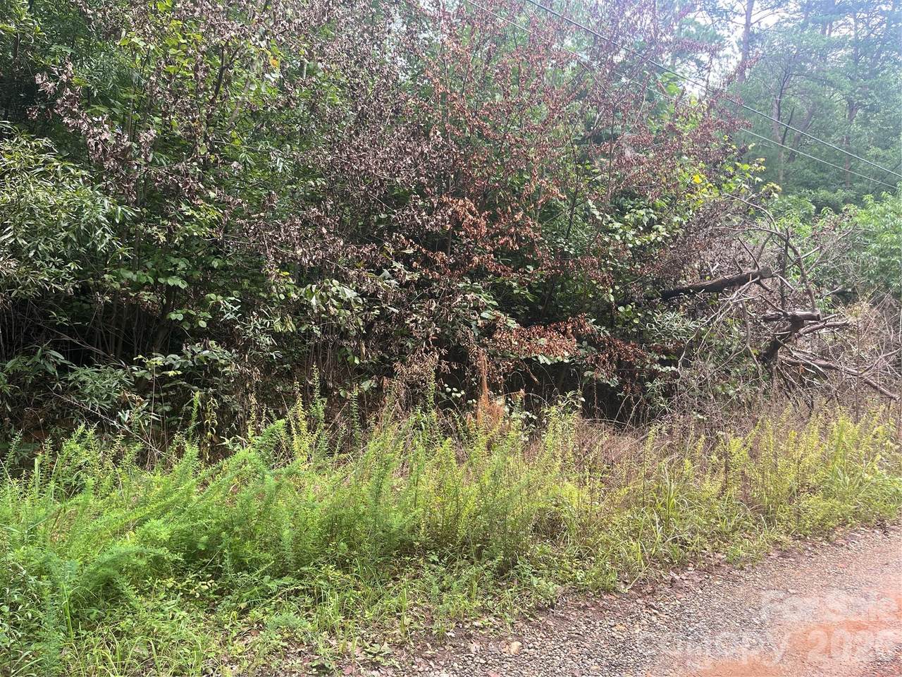 https://bt-photos.global.ssl.fastly.net/cmls/1280_boomver_1_4409496-1.jpg