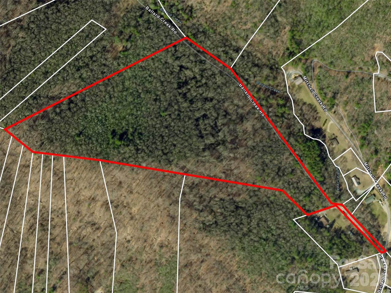 23.53 Acres Ballard Creek Road - Photo 1