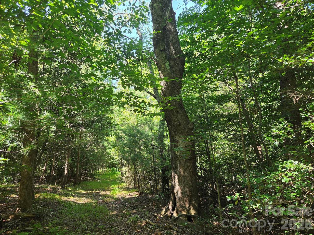 https://bt-photos.global.ssl.fastly.net/cmls/1280_boomver_1_4409965-1.jpg