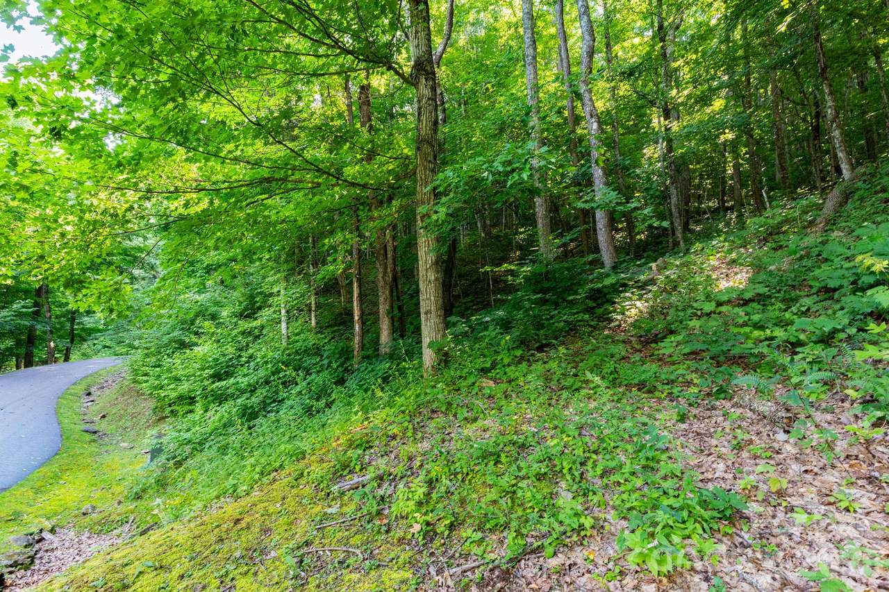Lot 30 Finlaystone Trace - Photo 1