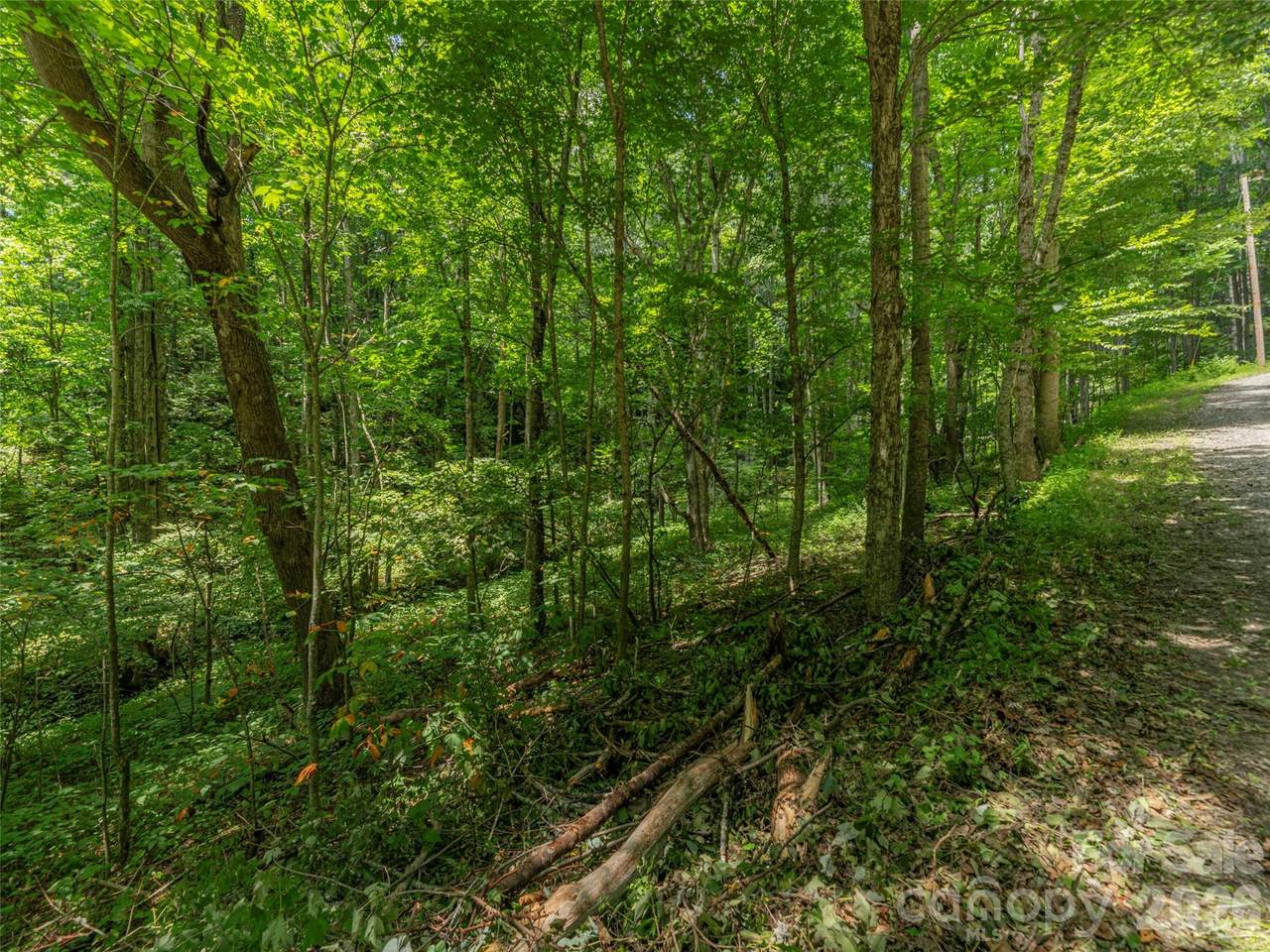 000 Rough Knob Road - Photo 1