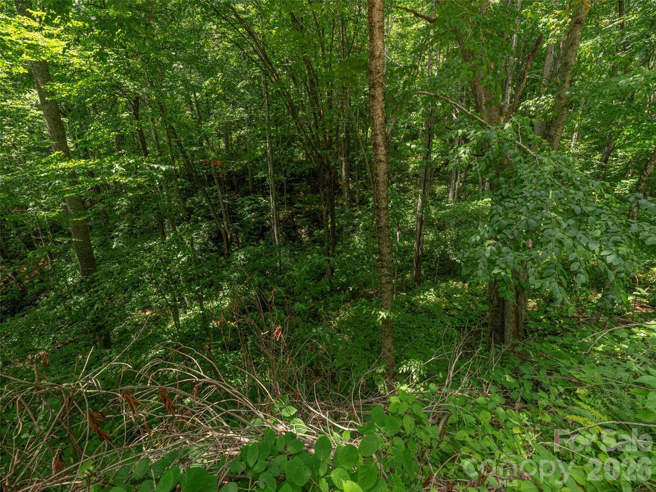 https://bt-photos.global.ssl.fastly.net/cmls/1280_boomver_1_4410060-1.jpg