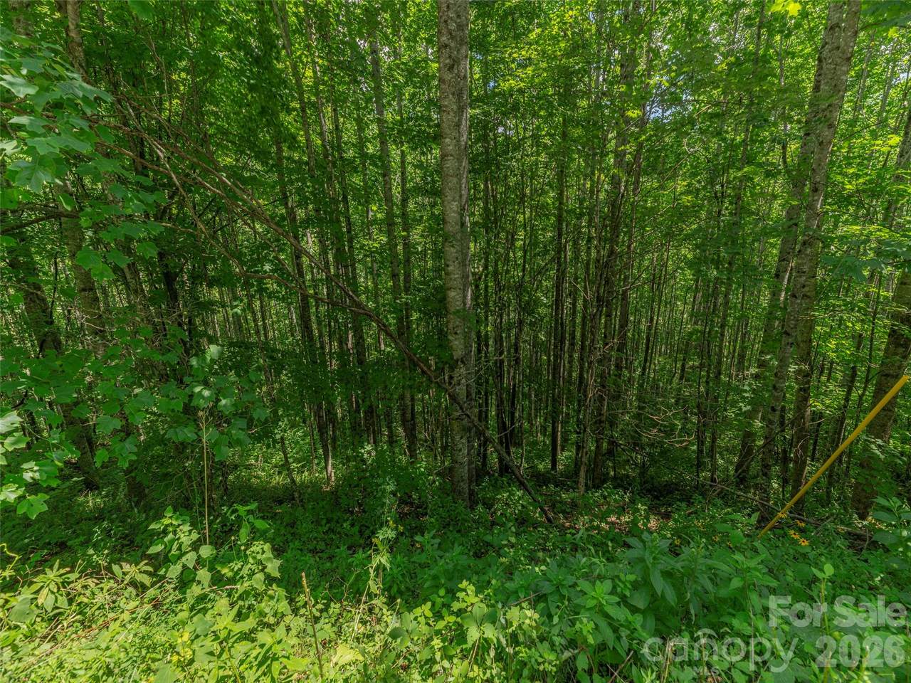 https://bt-photos.global.ssl.fastly.net/cmls/1280_boomver_1_4410060-1.jpg