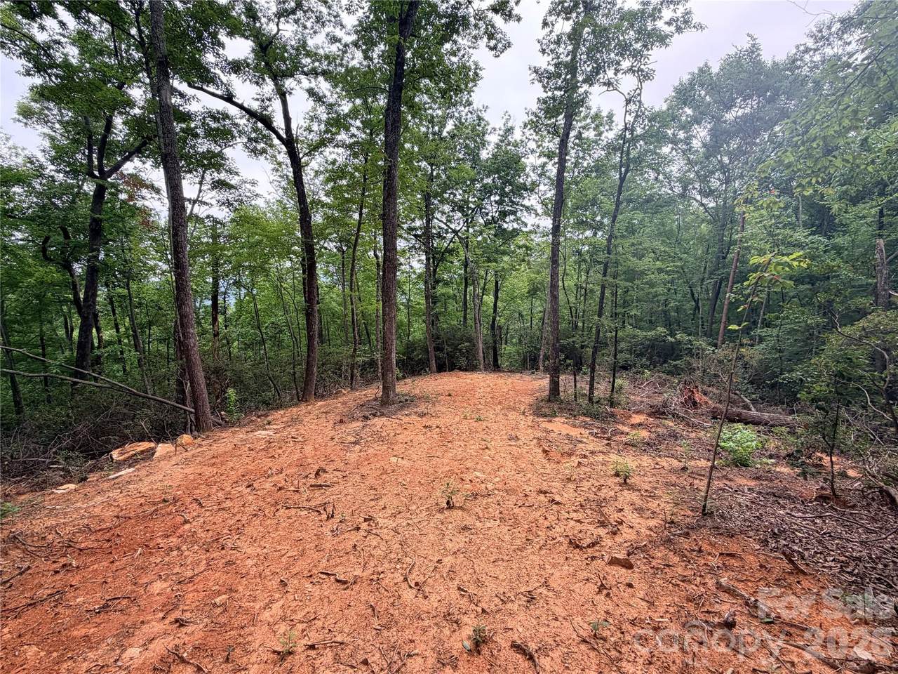 0 Harrison Drive - Photo 1