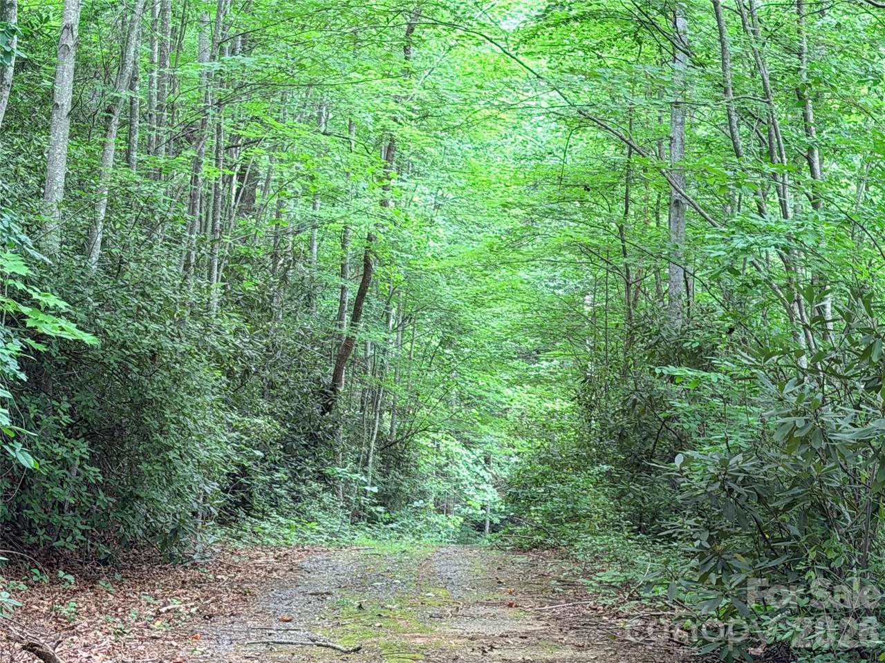 https://bt-photos.global.ssl.fastly.net/cmls/1280_boomver_1_4410211-1.jpg