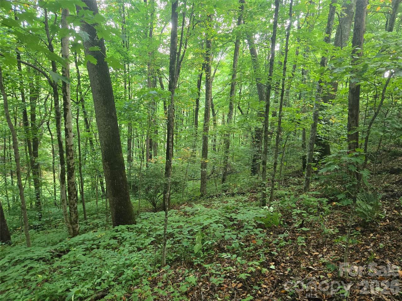 000 Rosemount Road - Photo 1