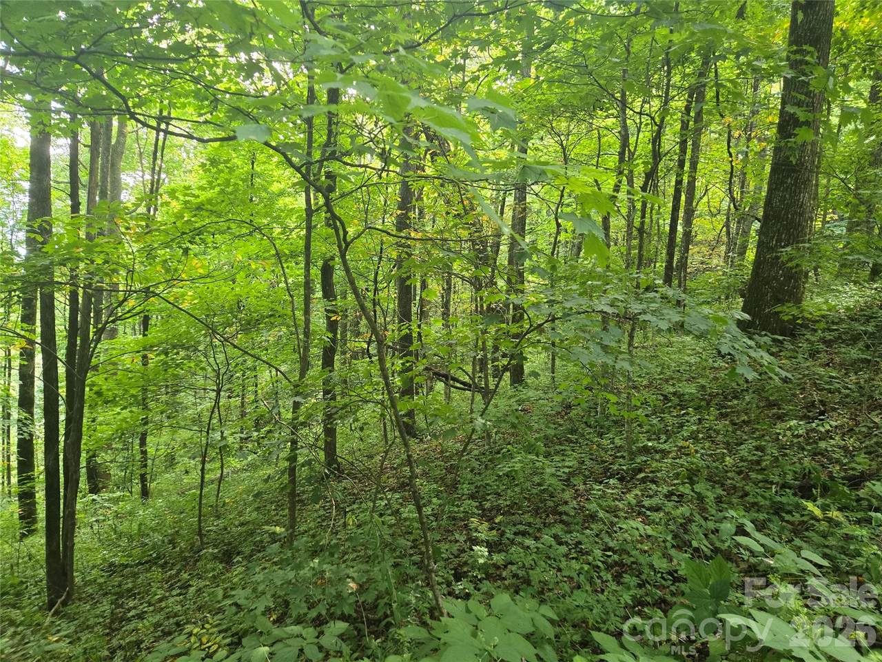 https://bt-photos.global.ssl.fastly.net/cmls/1280_boomver_1_4410293-1.jpg