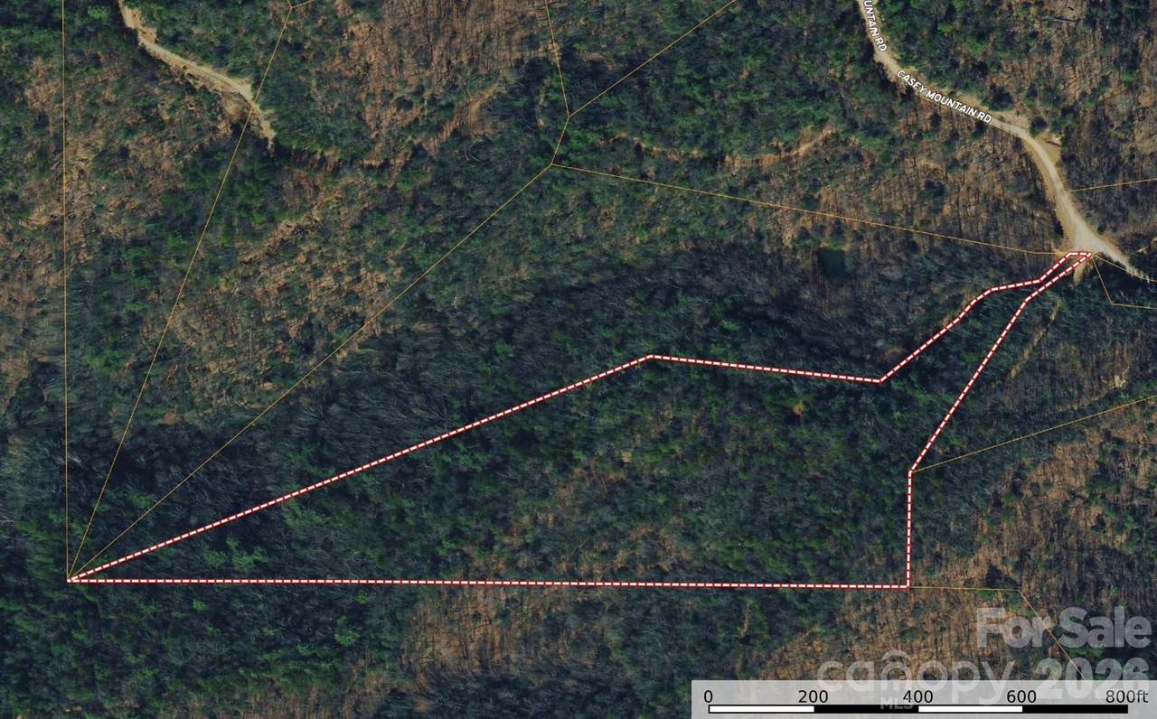 TBD Casey Mountain Road - Photo 1