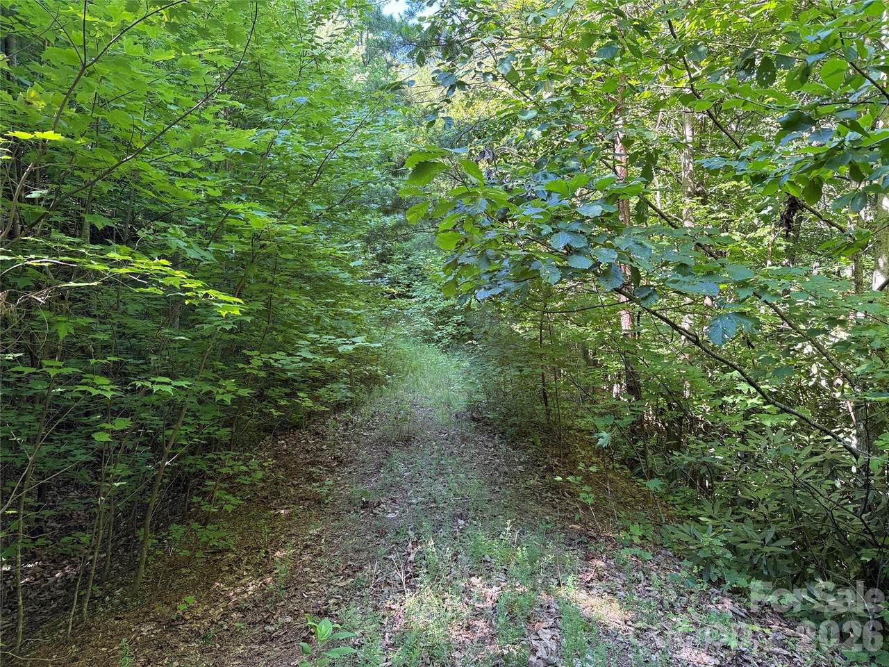 https://bt-photos.global.ssl.fastly.net/cmls/1280_boomver_1_4410597-1.jpg