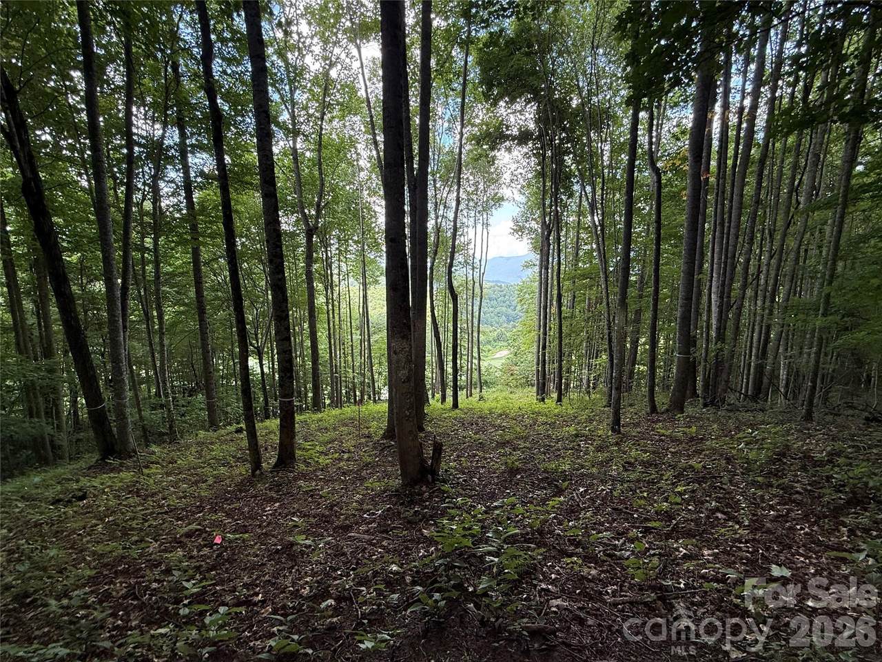 https://bt-photos.global.ssl.fastly.net/cmls/1280_boomver_1_4411132-1.jpg