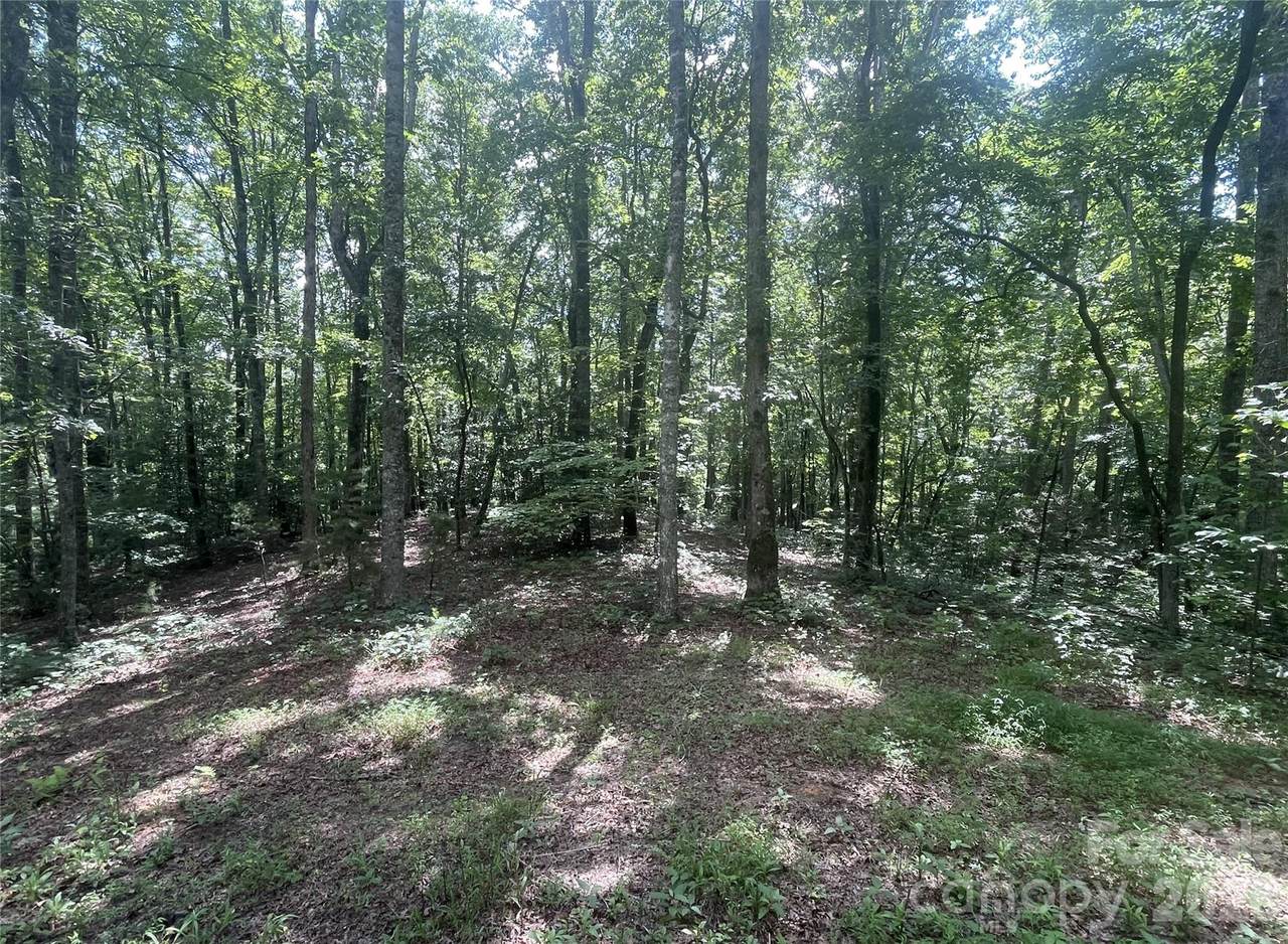 2060 Us 19 Highway - Photo 1