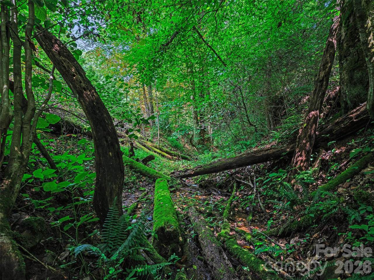000 Cove Mountain Road - Photo 1