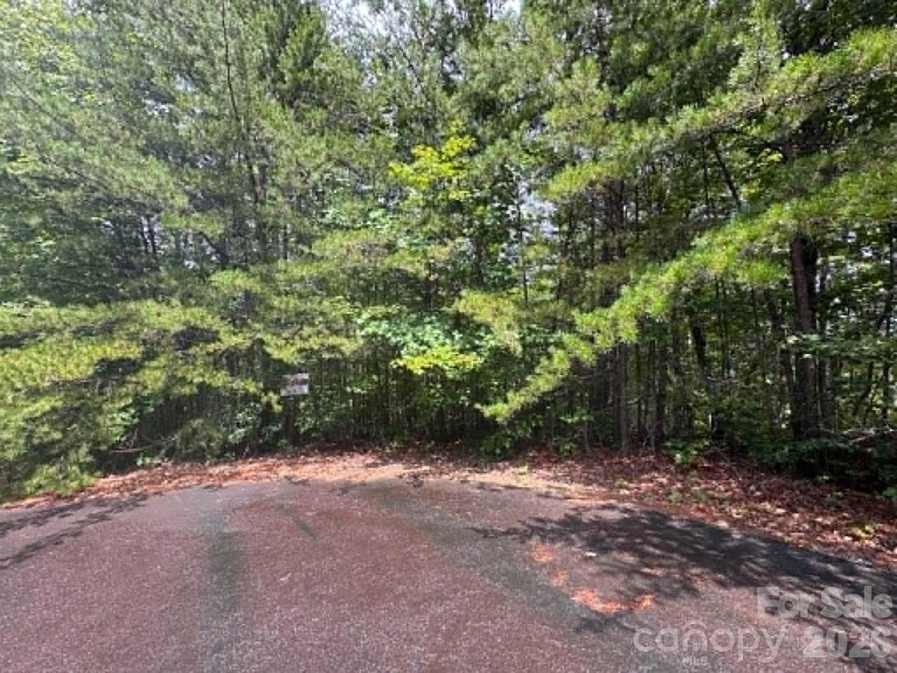 TBD Fire Tower Road - Photo 1