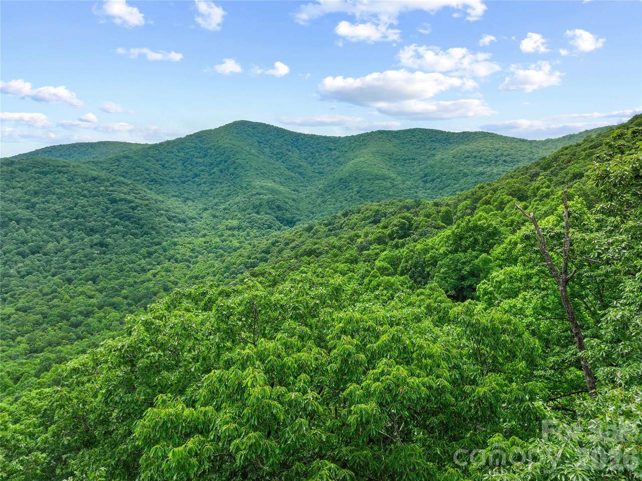 https://bt-photos.global.ssl.fastly.net/cmls/1280_boomver_1_4411542-1.jpg
