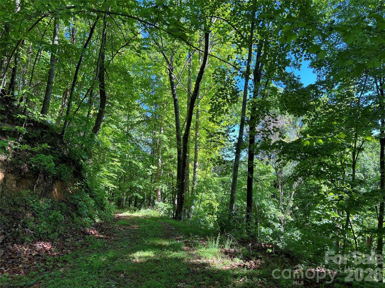 https://bt-photos.global.ssl.fastly.net/cmls/1280_boomver_1_4411561-1.jpg