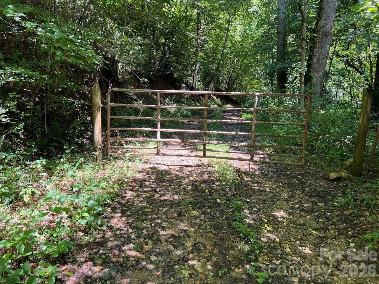 0 Old Johns River Road - Photo 1