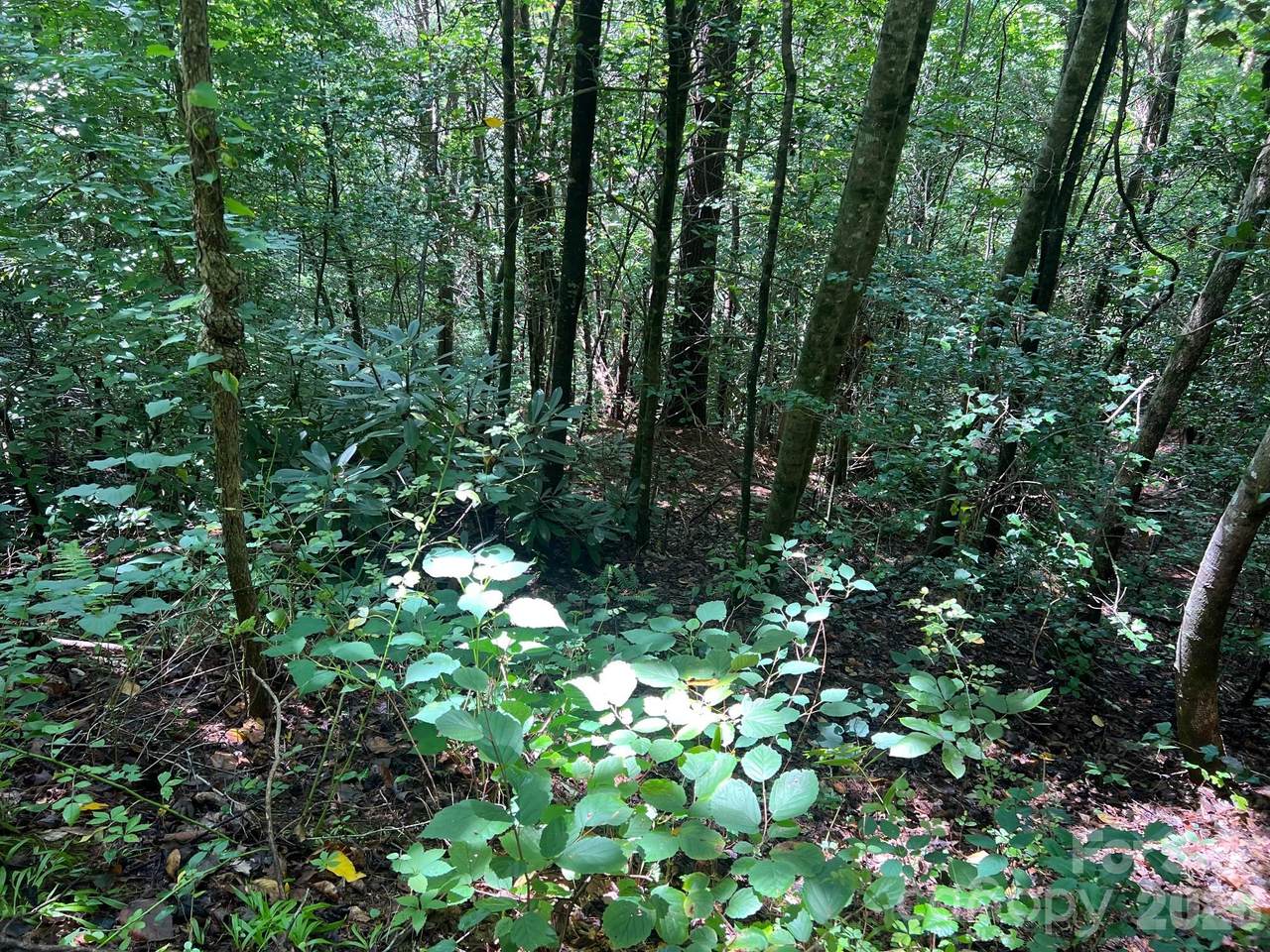 https://bt-photos.global.ssl.fastly.net/cmls/1280_boomver_1_4411648-1.jpg