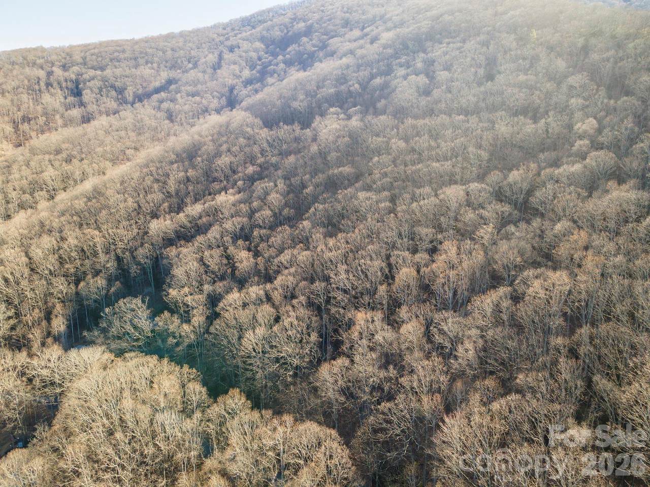00 Wildflower Cove Road - Photo 1