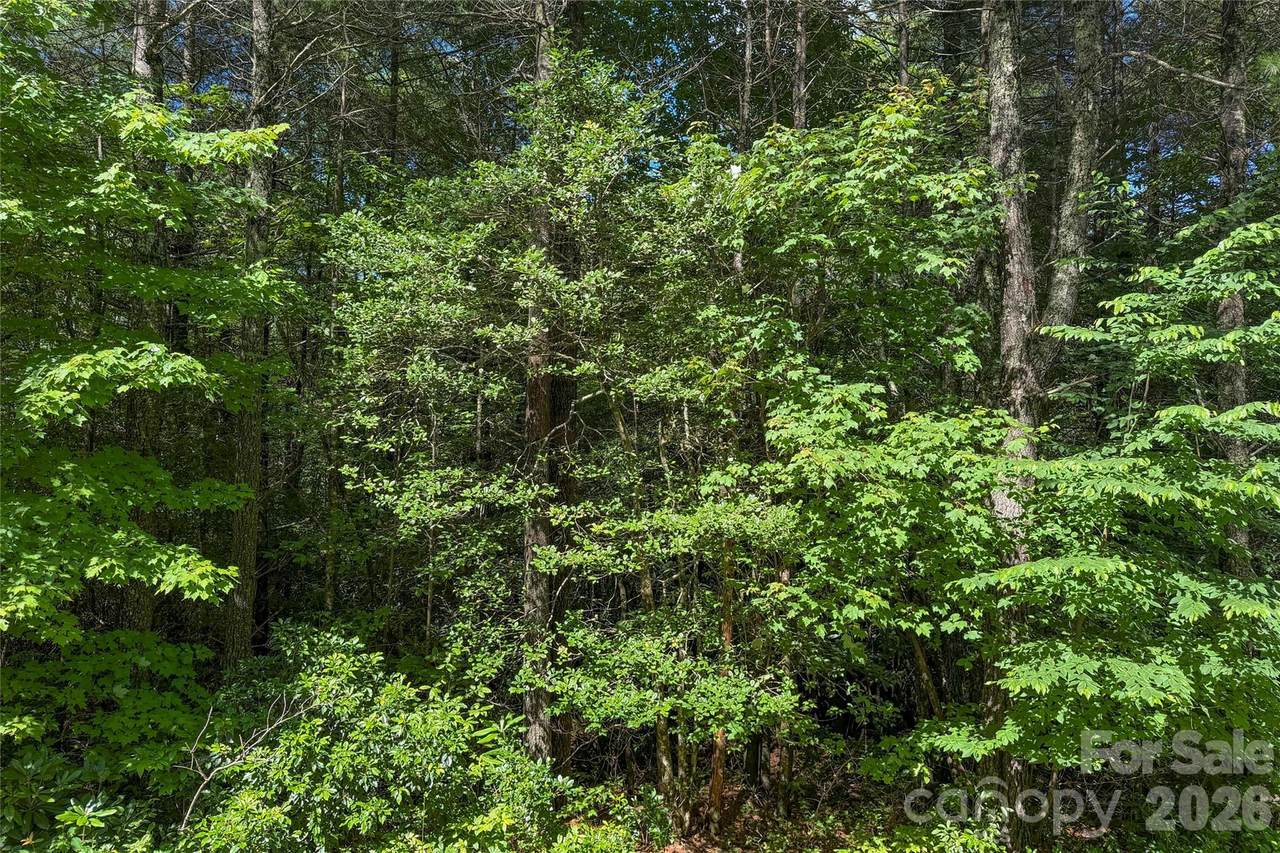 https://bt-photos.global.ssl.fastly.net/cmls/1280_boomver_1_4411856-1.jpg