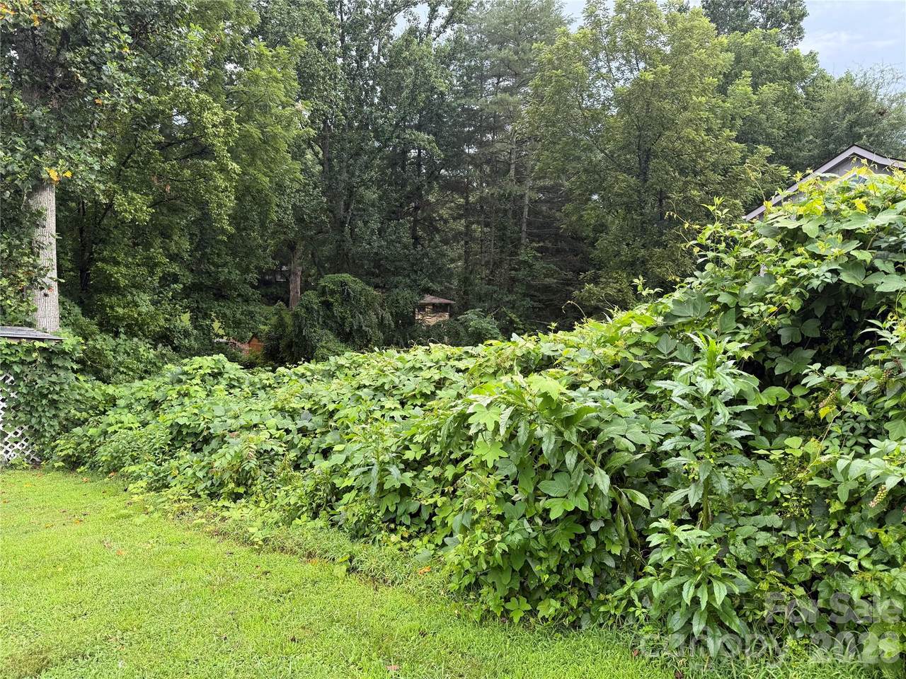 https://bt-photos.global.ssl.fastly.net/cmls/orig_boomver_1_4411981-1.jpg