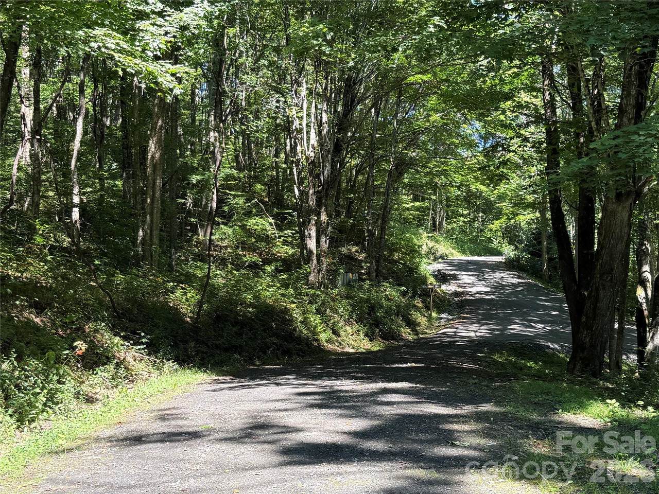 7 Wolfsbane Trail - Photo 1