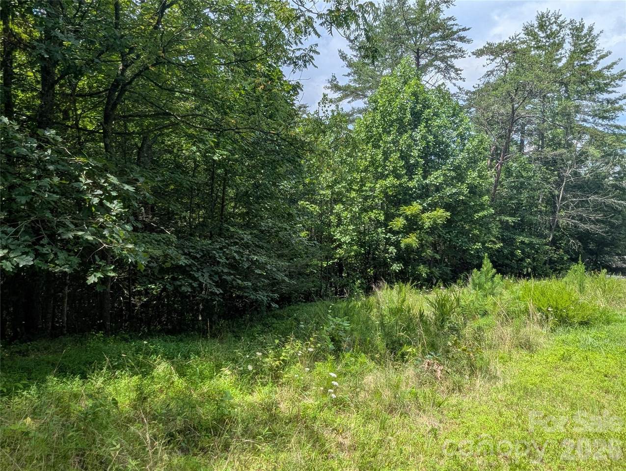0 Austin Drive - Photo 1