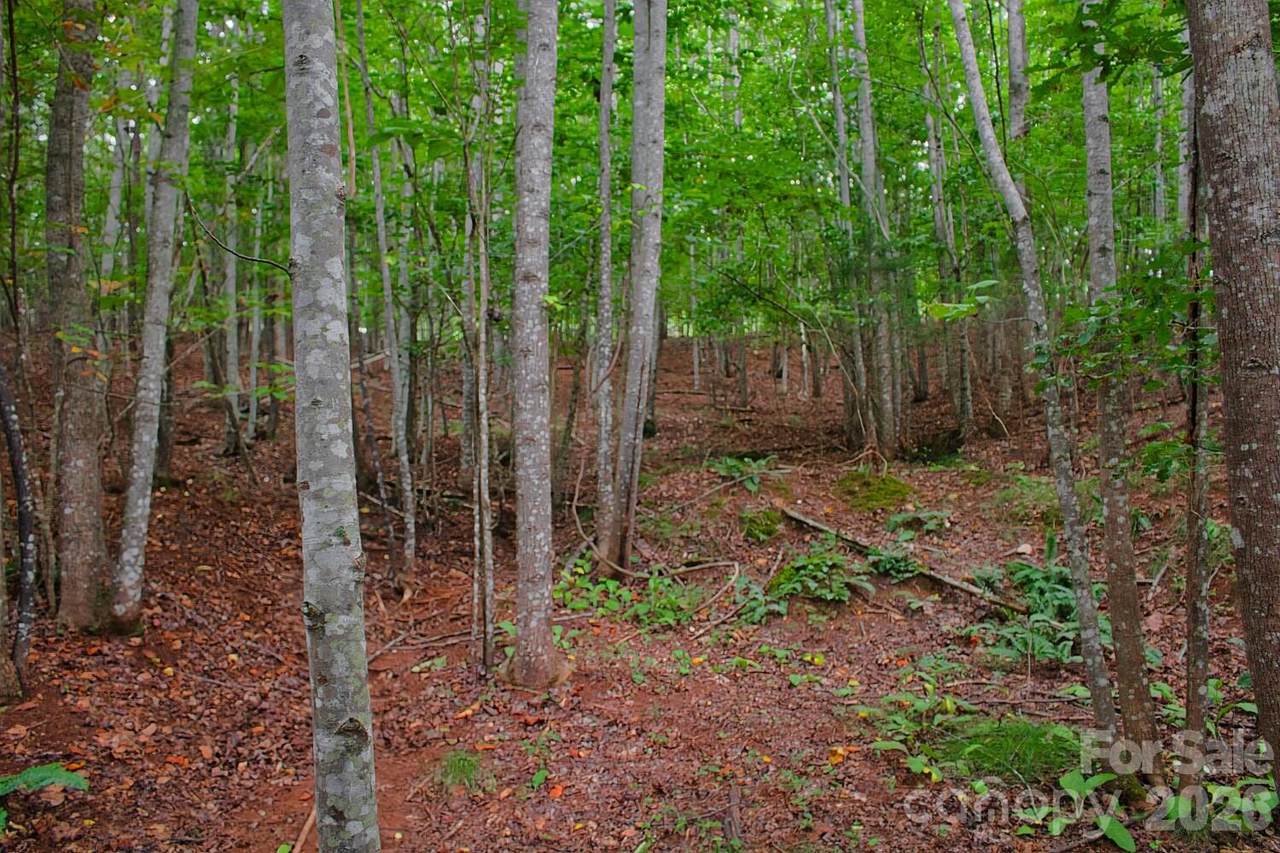 0 Creekside Circle - Photo 1