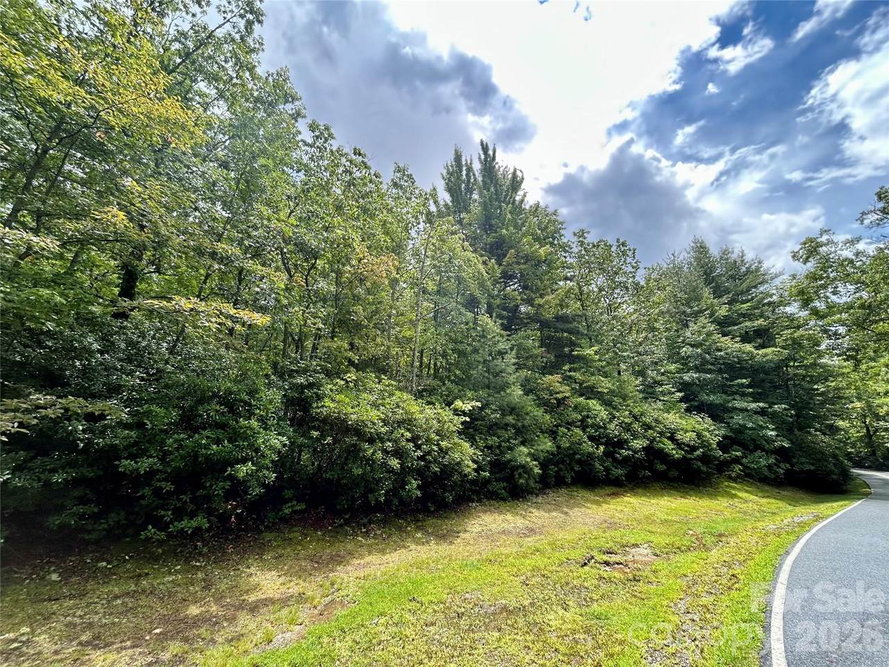 Lot 40 Hawk Mountain Road - Photo 1