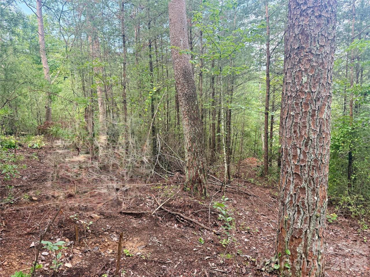https://bt-photos.global.ssl.fastly.net/cmls/1280_boomver_1_4412377-1.jpg