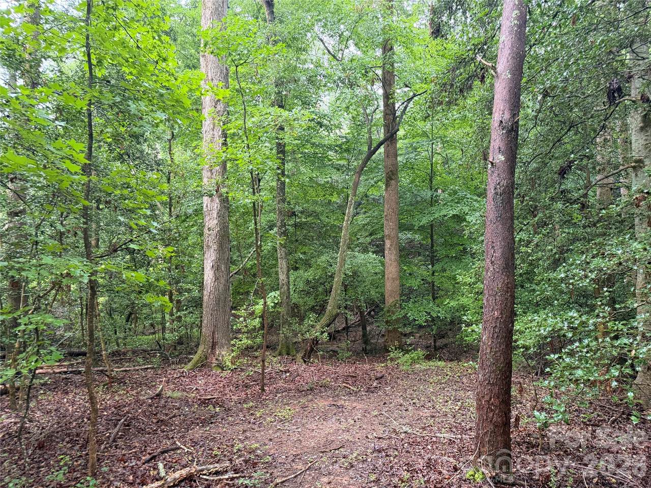 https://bt-photos.global.ssl.fastly.net/cmls/1280_boomver_1_4412391-1.jpg