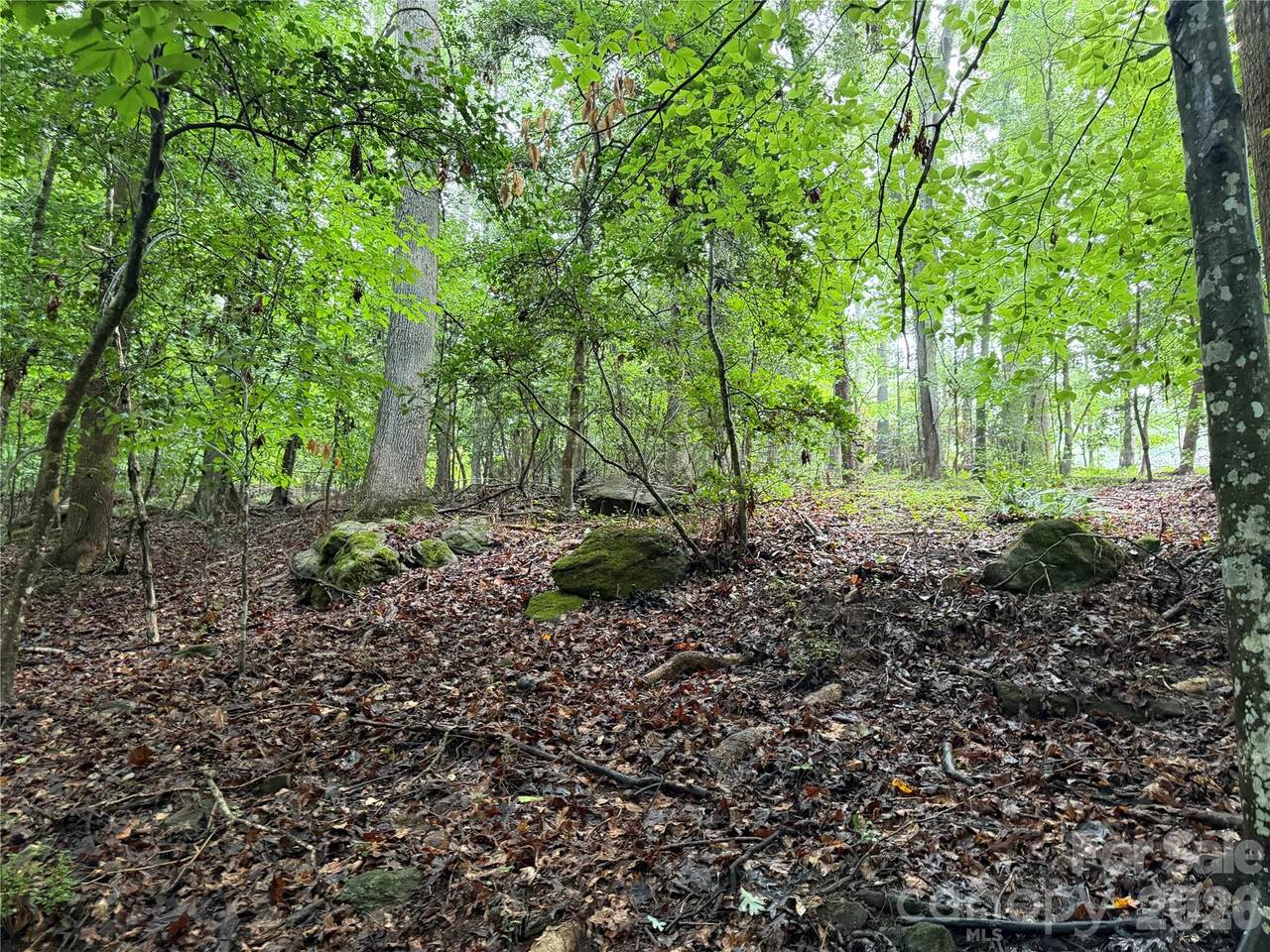 https://bt-photos.global.ssl.fastly.net/cmls/1280_boomver_1_4412391-1.jpg